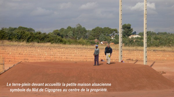 construction-nid-de-cigognes-14