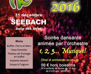 Affiche réveillon Zazakely Seebach