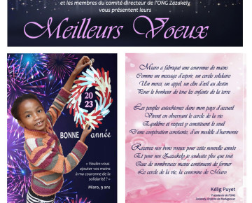 meilleurs-voeux