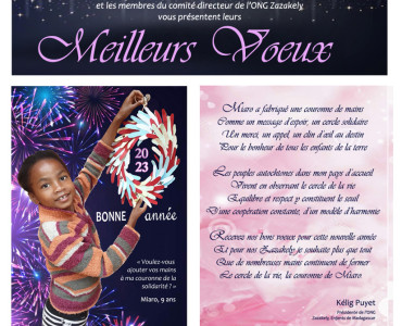 meilleurs-voeux